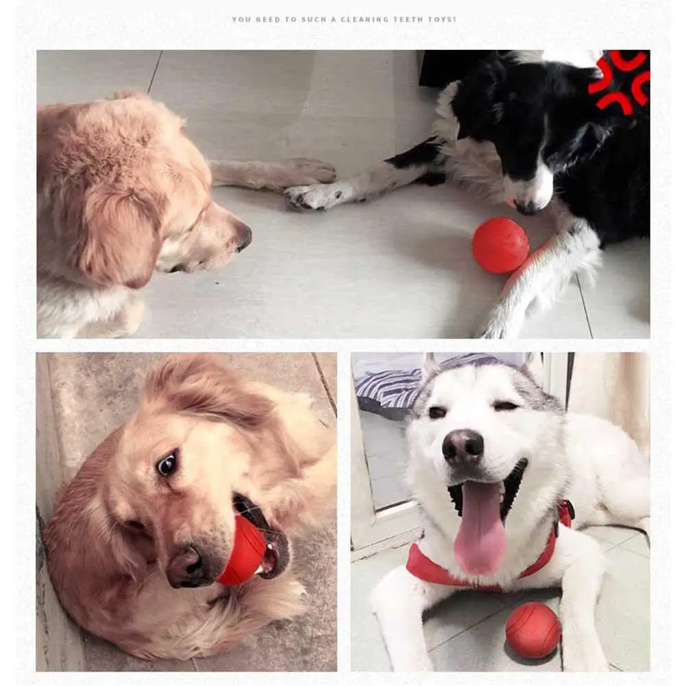 Собака игрушка резиновый мяч игрушки Жвачки Укус устойчивостью собак высокое