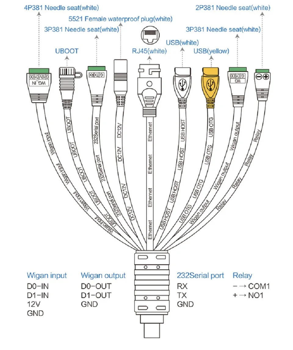 Multiple Face Recognition Camera - Famidy.com
