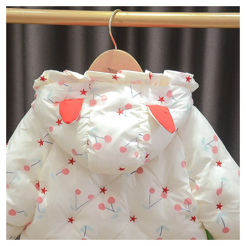 21045300248_128607065