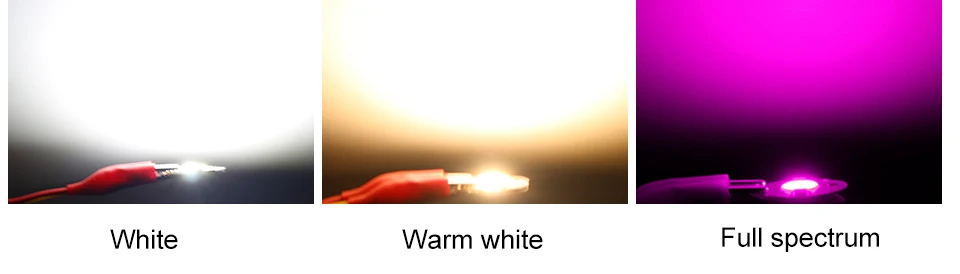 COB LED Chip Lamp 220V 110V LED Bulbs Full Spectrum 20W 30W 50W Phyto lamp IP65 Smart IC DIY Flood Light Bulb Spotlight Outdoor