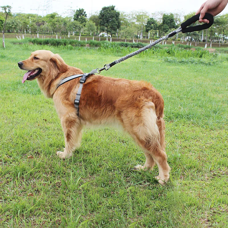TUFF HOUND Pet Dog No Pull Leash Nylon Leash for Dogs Quick Release Elastic Lead Rope With Control Handle For Walking Running
