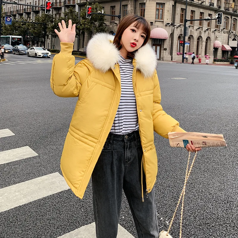 

Short Cotton Coat Women's 2019 Winter New Style Korean-style Europe And America Hooded Large Fur Collar Loose And Plus-sized Thi