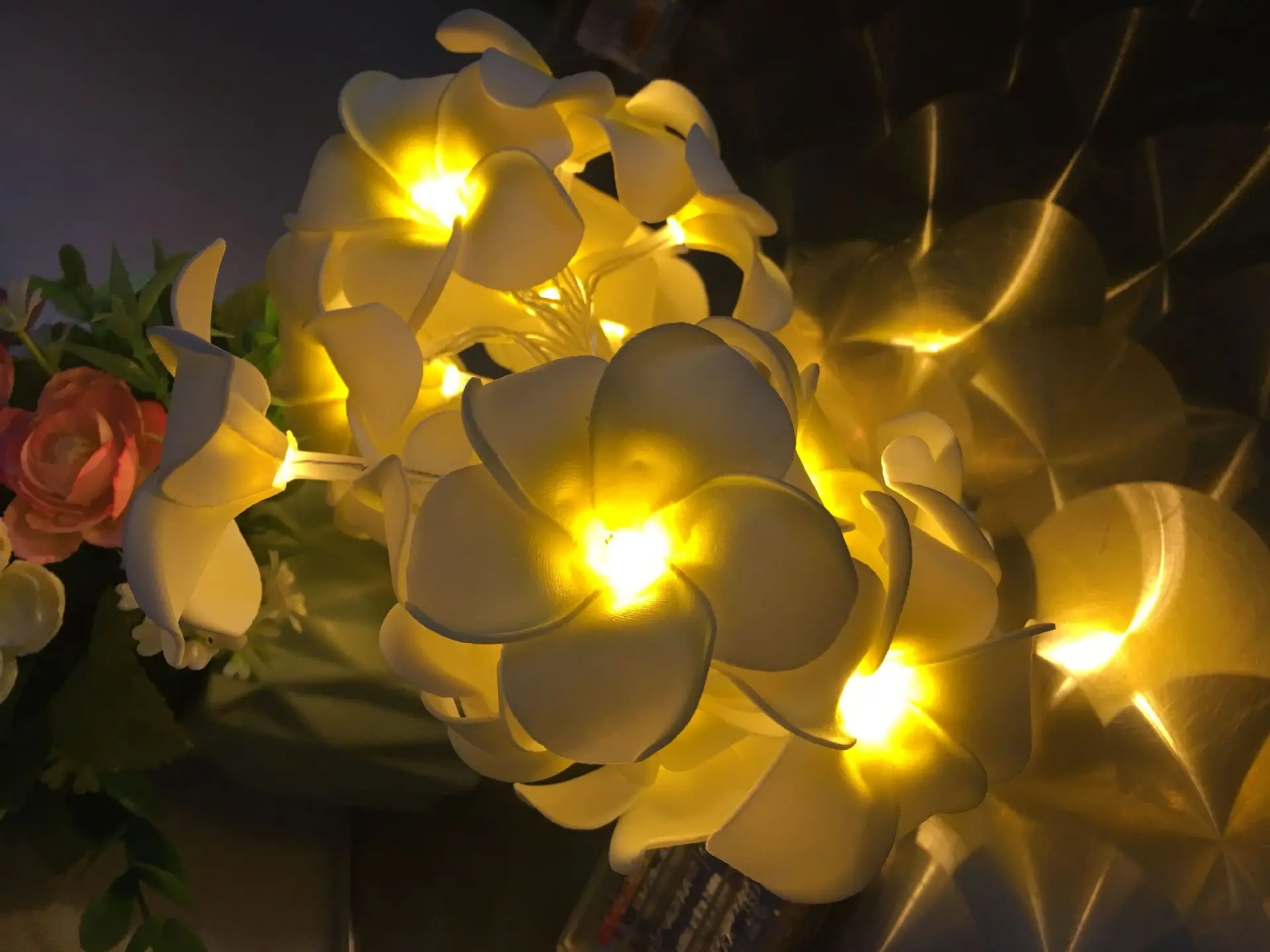 

Amazon Hot Sales Foreign Trade 20 Head LED Model Plumeria Rubra LED String Lights Battery Box Ornamental Festoon Lamp Wholesale
