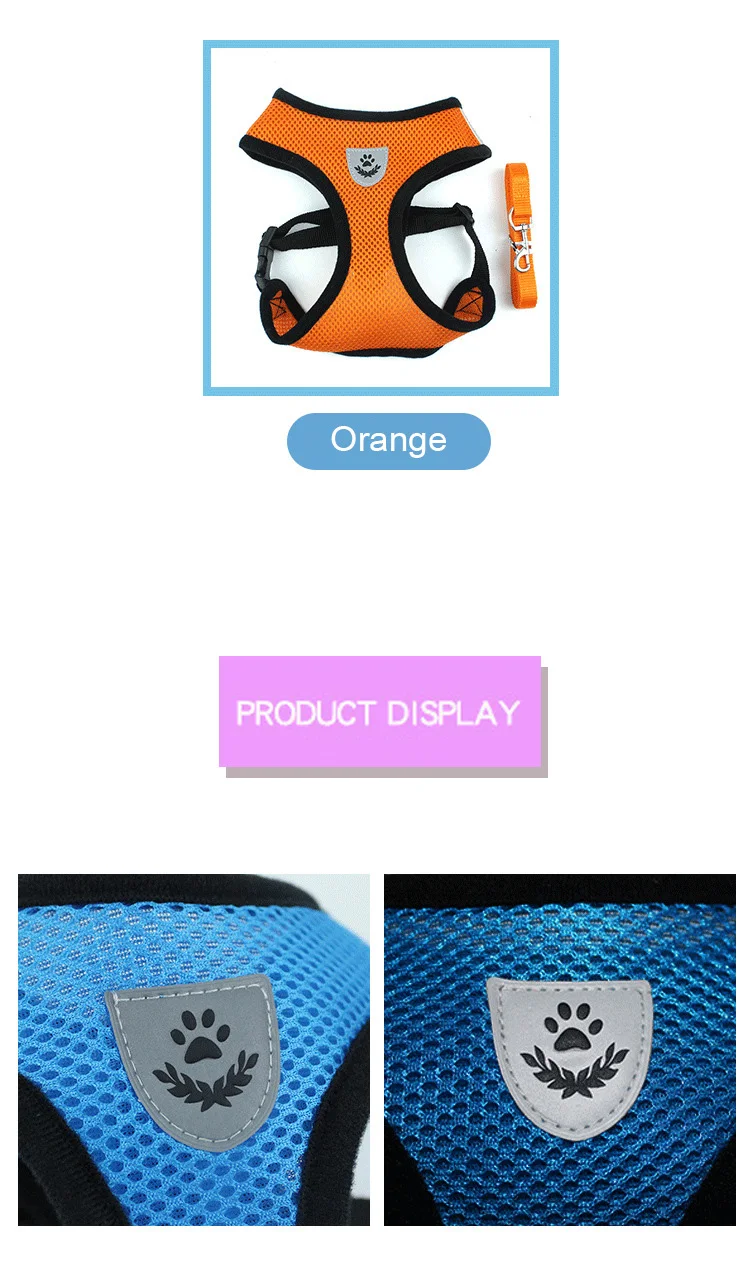 8825602157_609020808