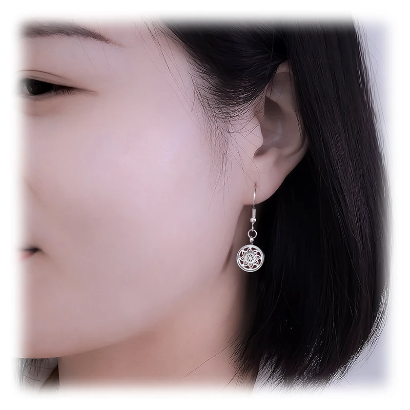 Drop Earrings Stainless Steel 12MM Diffuser Locket Aromatherapy Essential Oil Perfume Pendants Dangle Earrings Jewelry 5