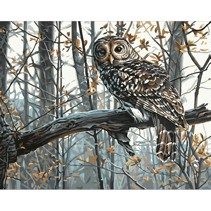 Картина по номерам Сделай Сам дропшиппинг 40x50 50x65 см, вид на сову, животное, холст, свадебное украшение, художественная картина, подарок - Цвет: X2151