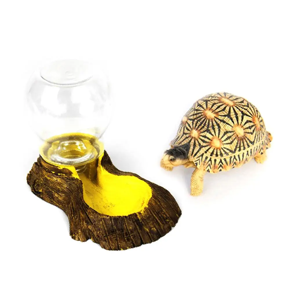 

Reptile Amphibians Automatic Waterer Tortoise Basin Lizard Bowl Water Feeder Drinking Fountains Reptile Box Landscaping Decor