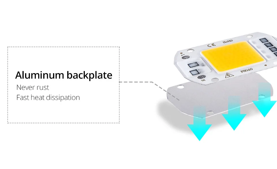 11565762518_2066387253