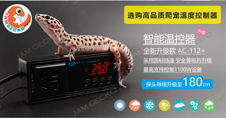 Скалолазание pet guard Дворцовая игрушка змея ПВХ ползающий шкаф для кормления ящика шкафа индивидуальный выбор нижнего отопления