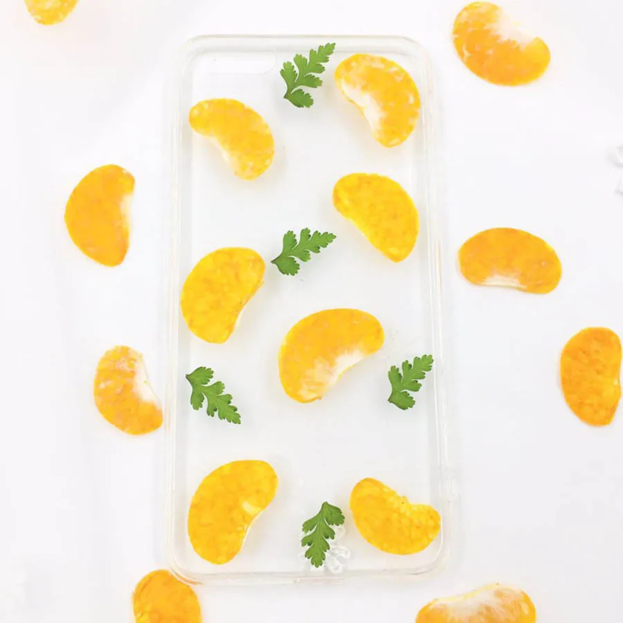 

12pcs Dried Pressed Kumquat Meat Fruit Plant Herbarium For Jewelry Photo Frame Phone Case Bookmark Postcard Making DIY