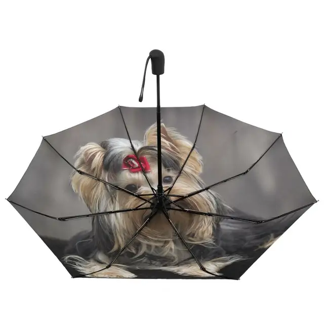 Yorkshire Terrier Kutya Nyomtatás Automatikus Esernyő Eső Nők Három Összecsukható Hordozható Férfi Szélálló Napvédő - Image 5