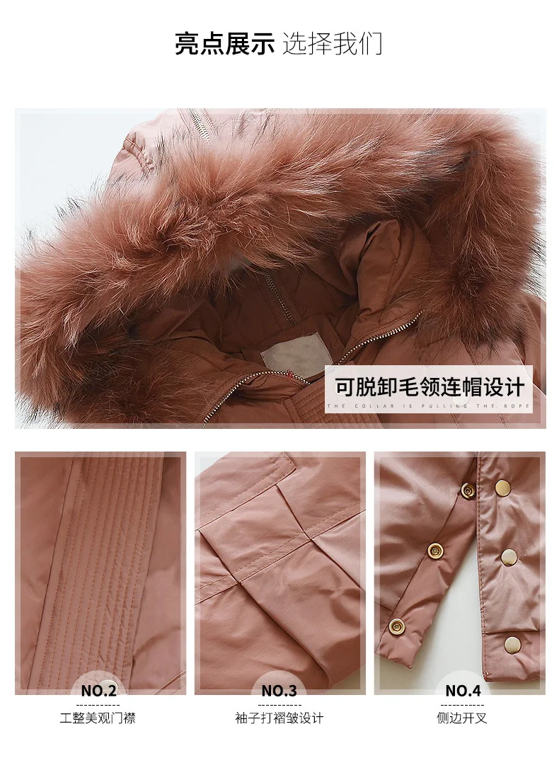 �� ���� �β��� X-�� �е� �ܿ� ��Ʈ ������, ���� Į�� �ĵ� ��ư ��Ŷ �м�, 2020 �Ż�