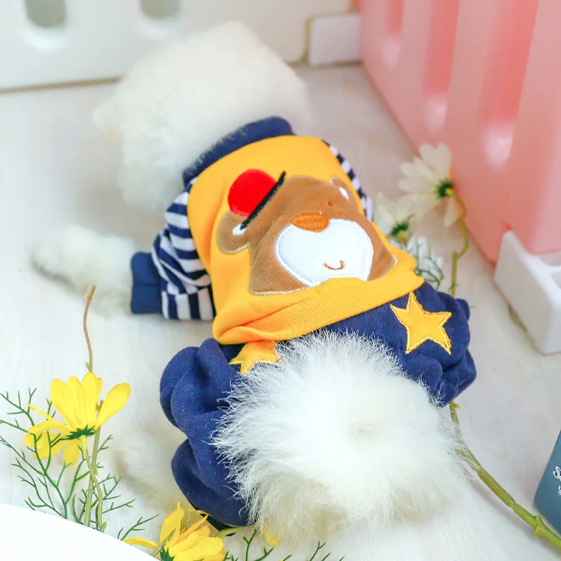 大王星星熊_8145