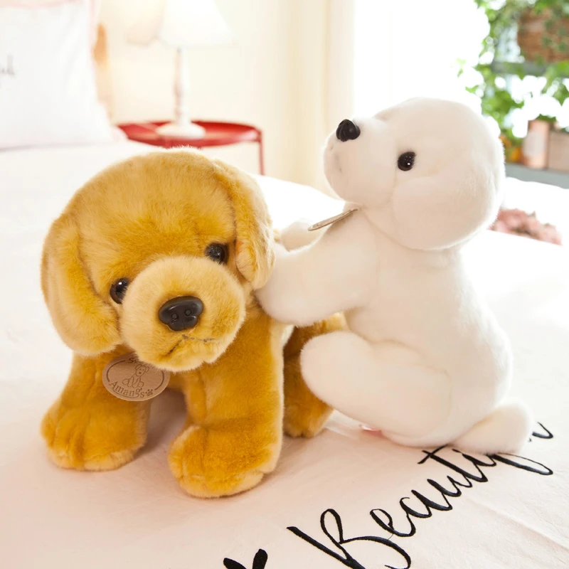 O1CN01z3IFUz1MXqqL12h0p_!!706091445