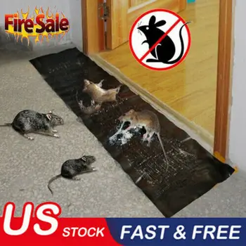 

Household Office Rat Safe Carpet Mice Non Toxic Snake Bugs Large Size Strong Adhesive Mouse Glue Trap Catcher Rodent