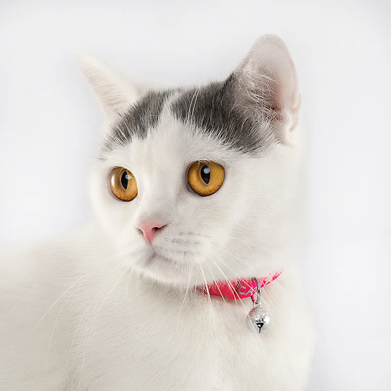 Nylon Ribbon Adjustable Soothing Pet Collar Star Pattern Cat Collar