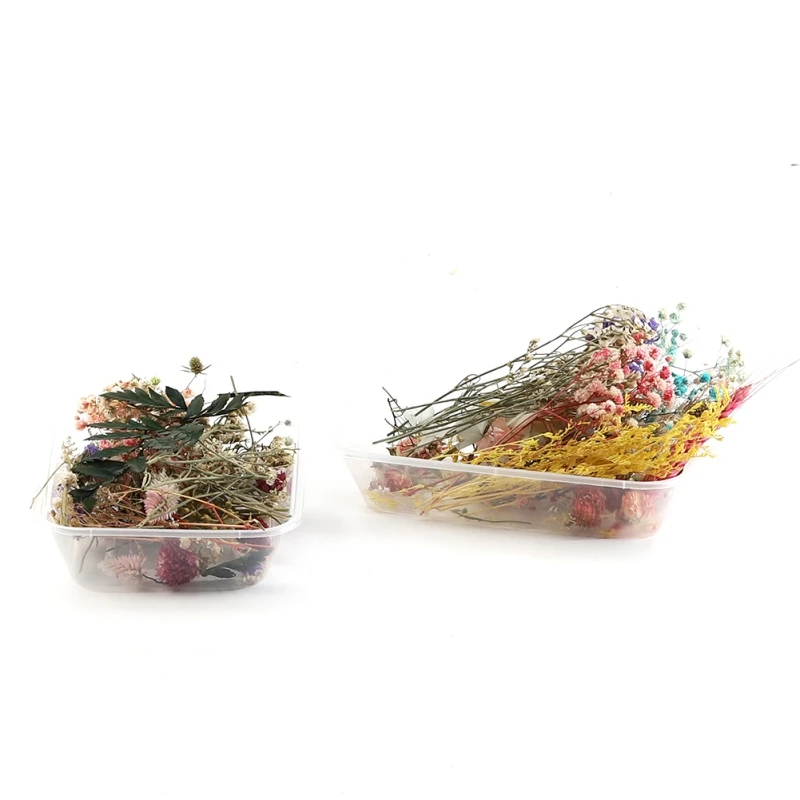Real dried flowers Dry Plants Epoxy Resin Aromatherapy Candle Necklace Jewelry Making Craft DIY Accessorie home decor