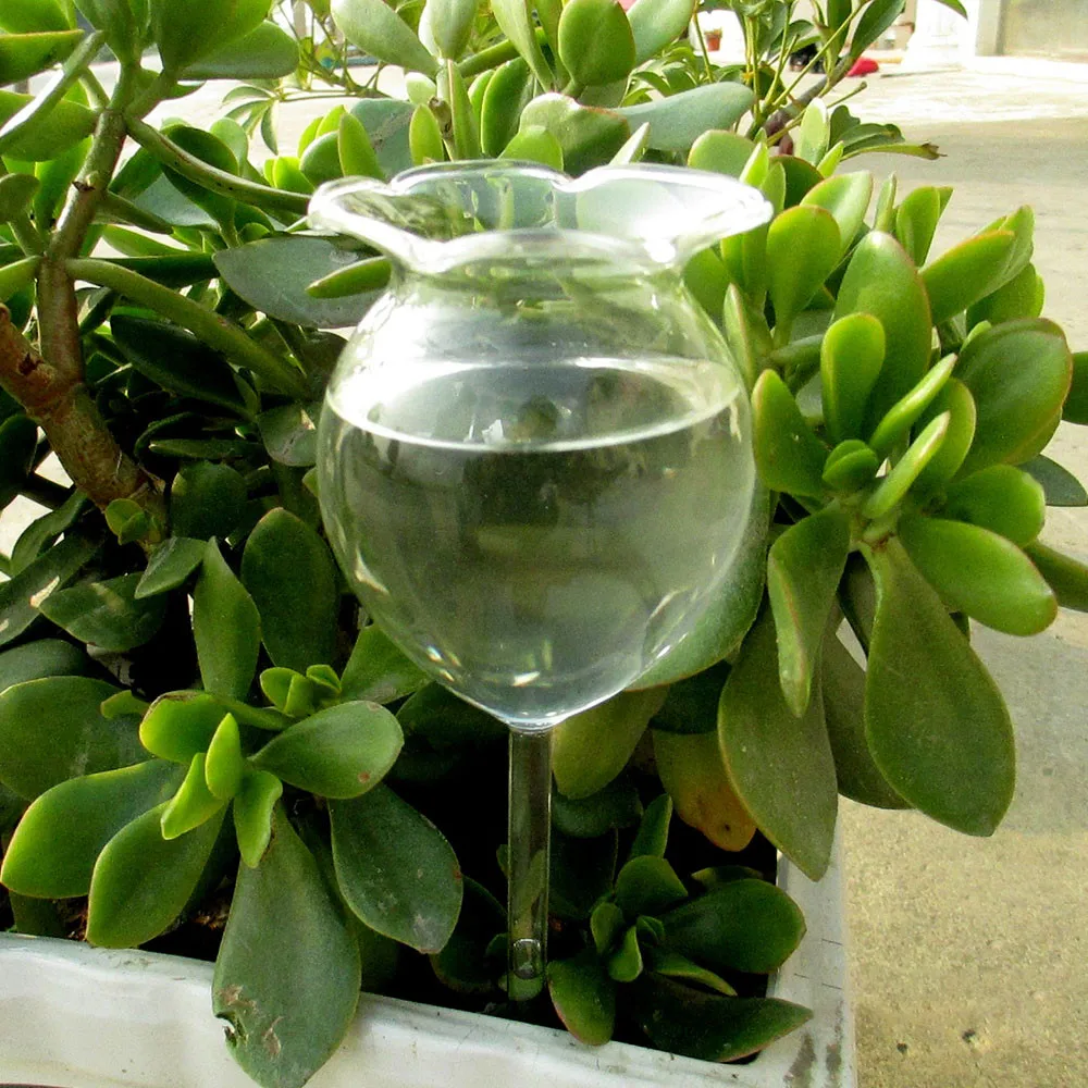 Стеклянное устройство для полива сада стекло полива спринклер комнатный Автоматический цветок стекло садовое растение цветочное устройство спринклер 1024