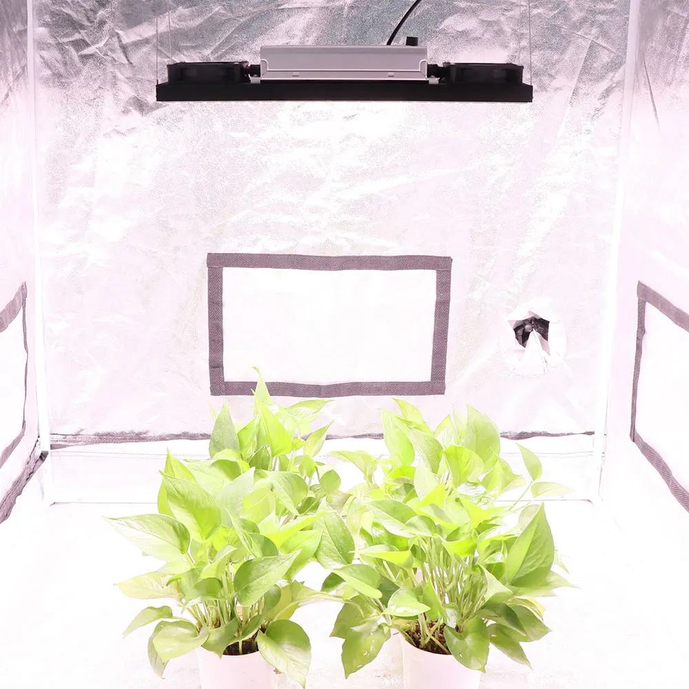 Mean well led grow light best sale