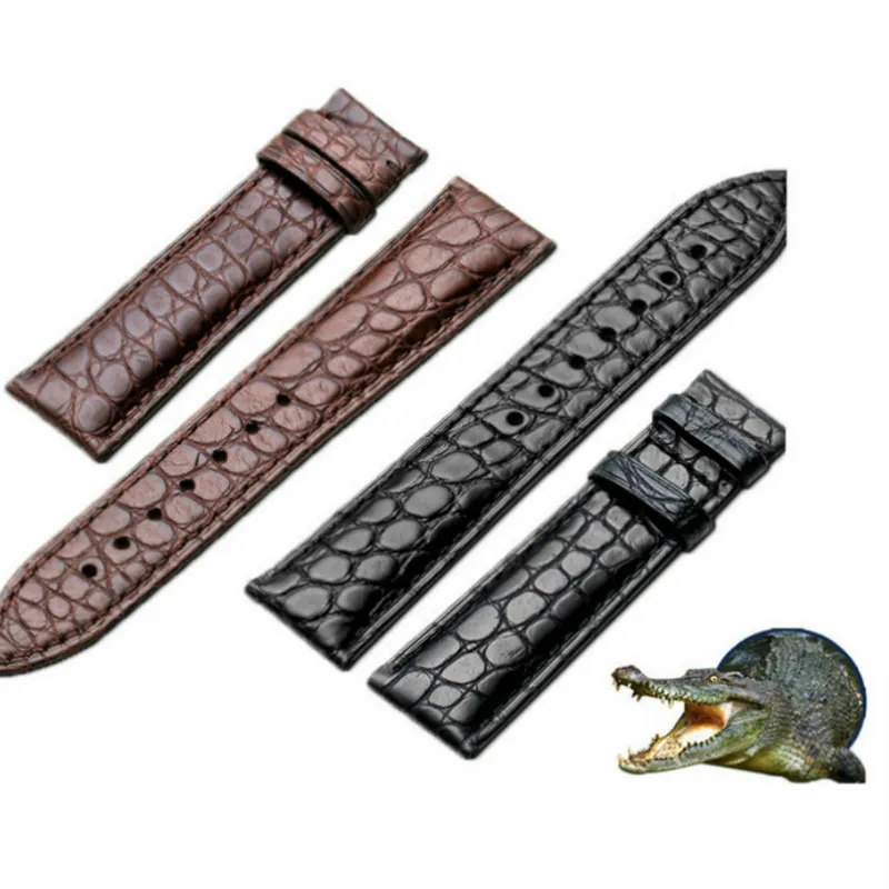 Crocodile strap vs. Alligator strap