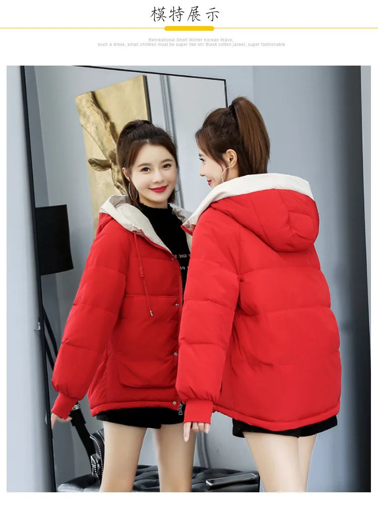 

Photo Shoot down Jacket Cotton-padded Clothes Women's Short Winter 2019 New Style Korean-style INS down Coat Cotton-padded Jacke