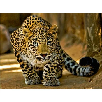 

5d Diy square,round Diamond Painting Cross Stitch African animal leopard 3d Embroidery Needlework Illustration Rhinestone Mosaic