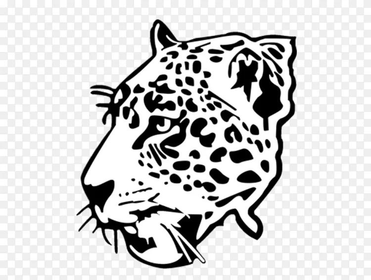 西佛罗里达美洲虎高中豹虎猎豹美洲豹png图片素材免费下载 图片编号 Png素材网