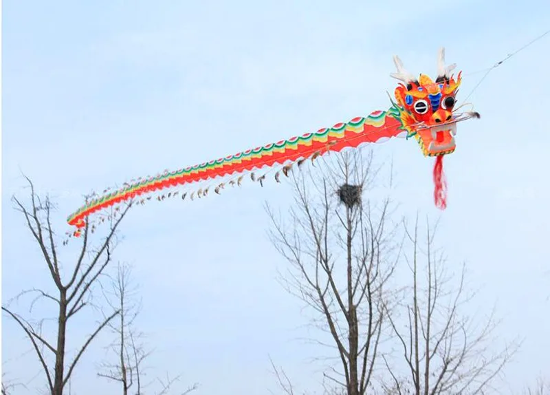 free shipping 20m big kite chinese traditional dragon kite line fly ferramenta paper kite ladybug huge kite kevlar 3d kite owl 6