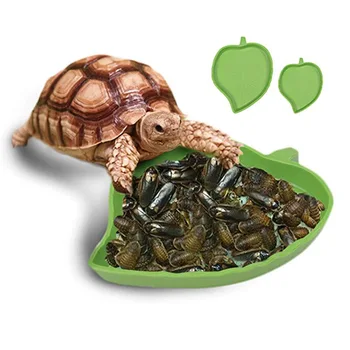 

New Arrivals Green Leaf Shape Reptile Feeder Tortoise Lizard Gecko Snake Chameleon Food Water Feeder Dish Bowl Accessories