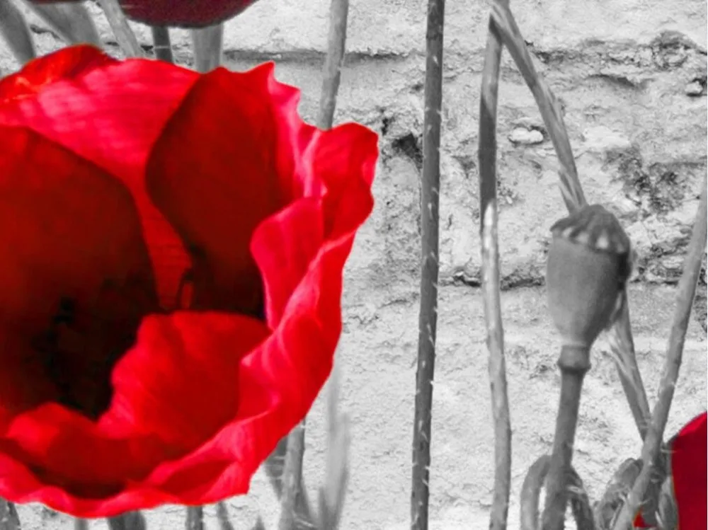 QQ截图20200105172354