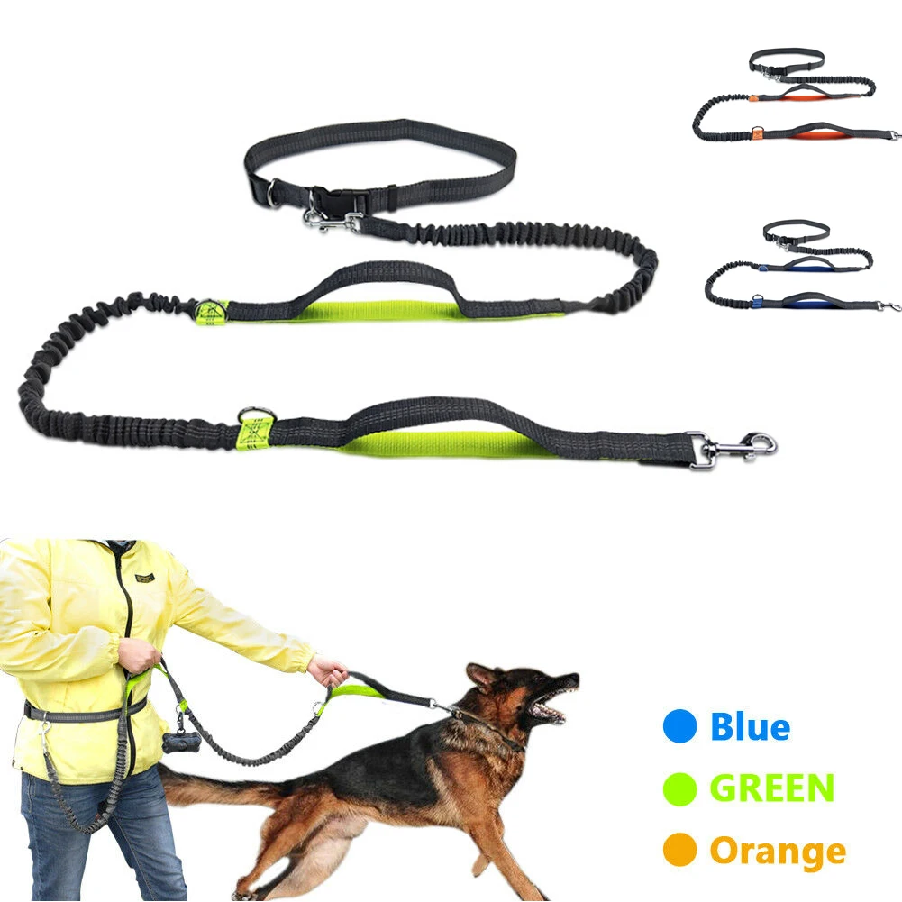 Hands Free Dog Leash Running Walking Training Dogs Running Dog
