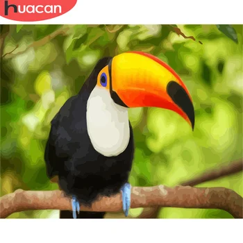

HUACAN Painting By Numbers Bird DIY Pictures By Number Animal Kits Drawing On Canvas Hand Painted Paintings Art Gift Home Decor