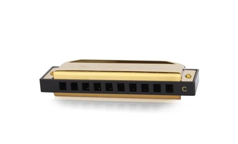 12 шт./компл. лебедь 10 отверстий Harmonica Diatonic Blues Арфы A/B/C/D/E/F/G/A#/C#/D#/F#/G# Ключ рта Органы упаковка Золотая с подарочной коробкой