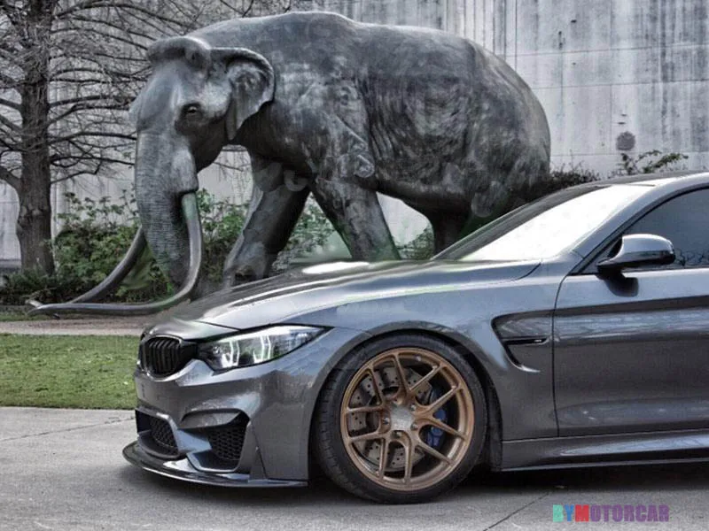 Передний спойлер для губ из углеродного волокна в стиле E BMW F8X M3 M4|Амортизаторы| |