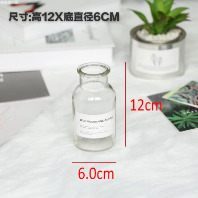 Nordic Style Retro Transparent Brown Glass Bottle Bedroom Vase Desktop Photography Accessories Studio Photo Backdrop Ornamen 12x6cm