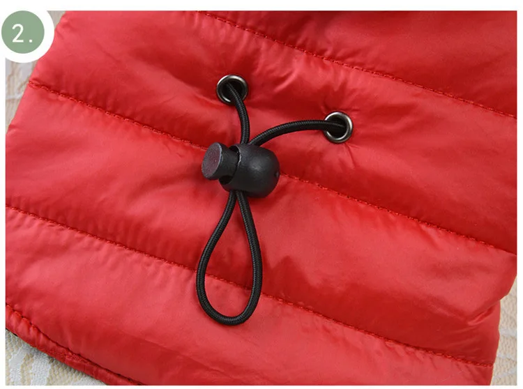 12147252025_1368698927