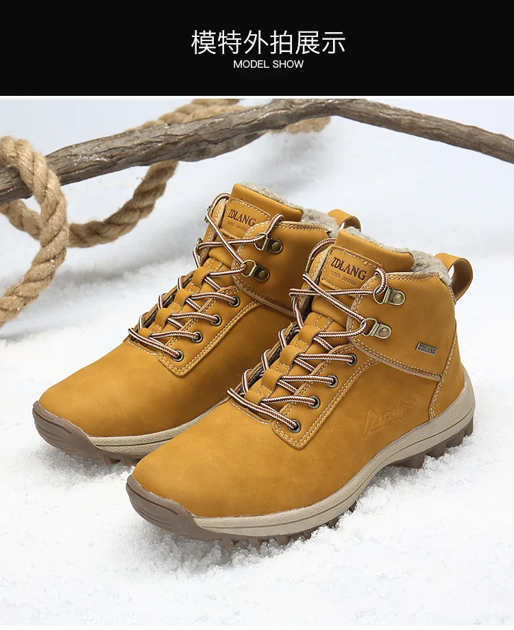 9164704277_1339583842