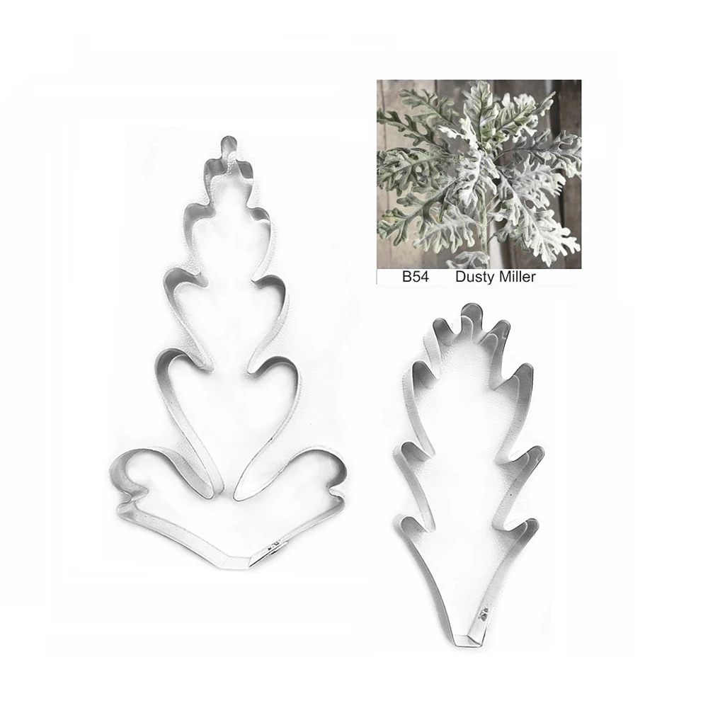 Dusty Miller1