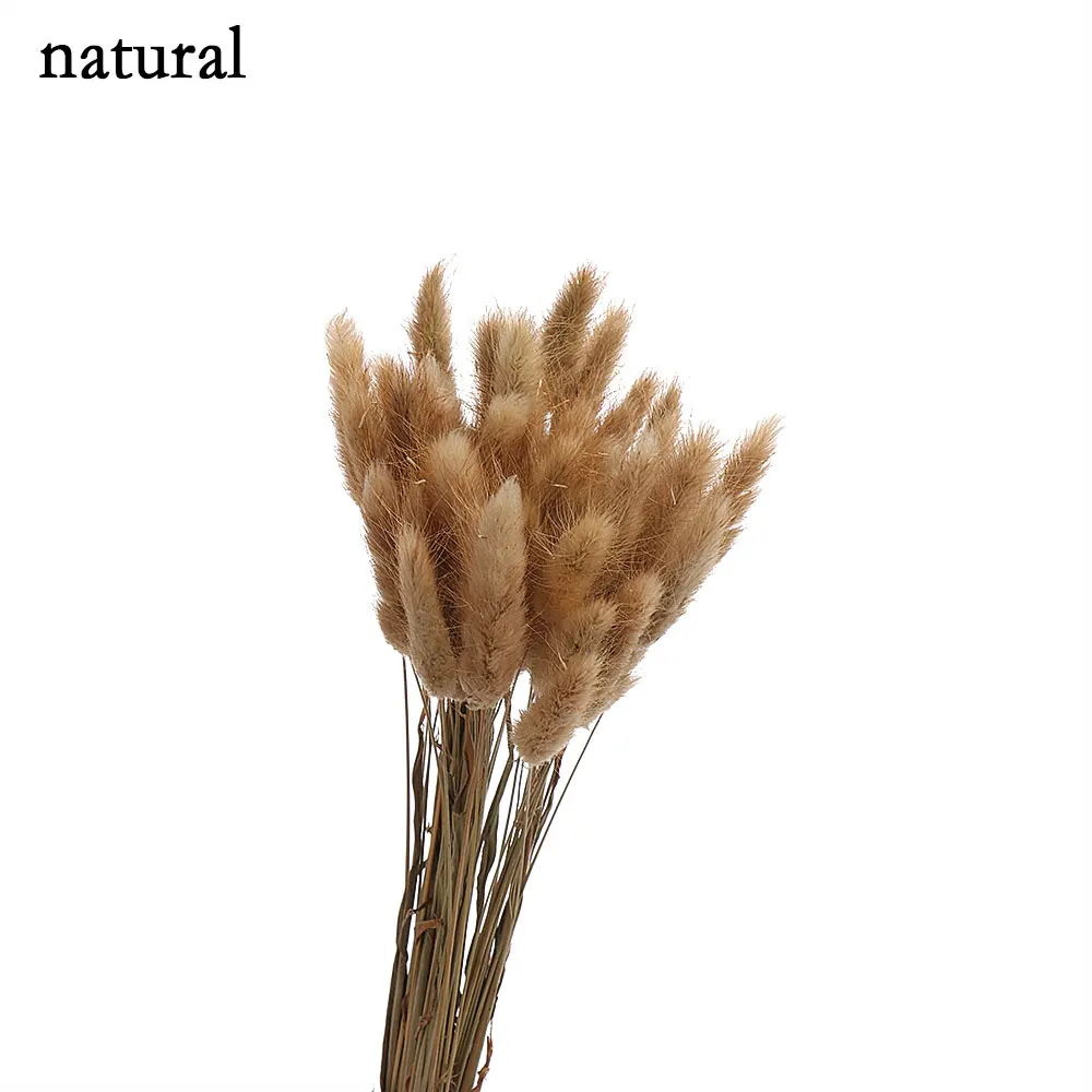 natural 50 шт. пасторальный стиль Кролик хвост трава сухоцветы букеты натуральный материал искусственный Uraria Picta товары для украшения дома - Color: natural