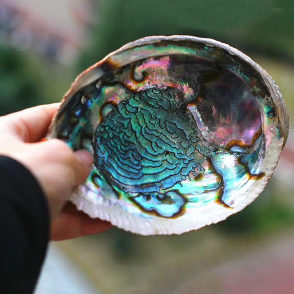 Abalone ракушка благовония горелка натуральный синий размазывание оболочки благовоний держатель конусы для очищения исцеления снятие стресса домашний декор