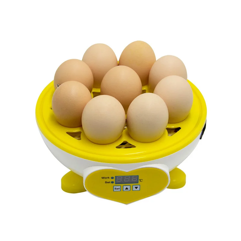 11f050c7-42d7-315c-b74f-b4877dab9dfd