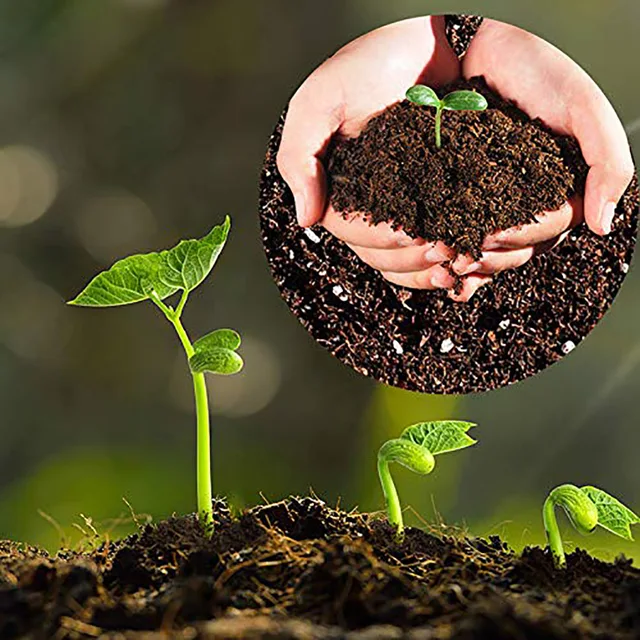 50Db-Csomag 30 Mm-Es Jiffy Tőzegpellet Pehét Talajblokk-Gyártó Kezdő Dugók Seeds Starter Professional A Kerthez - Image 4