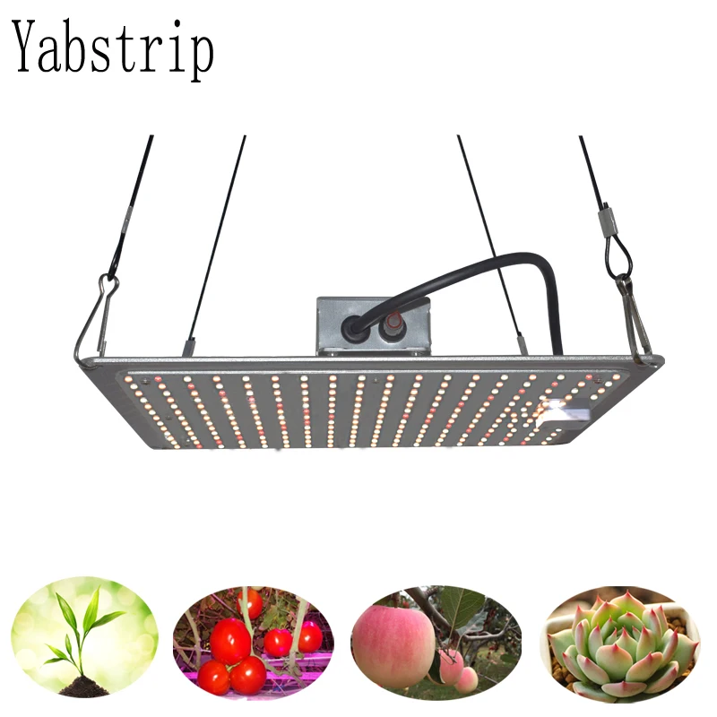 

5 Year Warranty LED grow light Samsung 281B Dimmable 1000W UV IR full spectrum for indoor flower seedling VEG tent phyto lamp