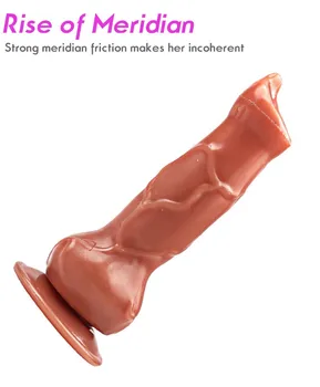 Realistic dog dildo Simulation penis animal dildo with suction cup adult toys sex toy for woman 4