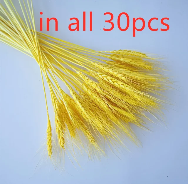 15Pcs Dried Reed Flower Arrangement Natural Pampas Grass For  Modern Home Decoration Party Backdrops Wedding Supplies gold wheat