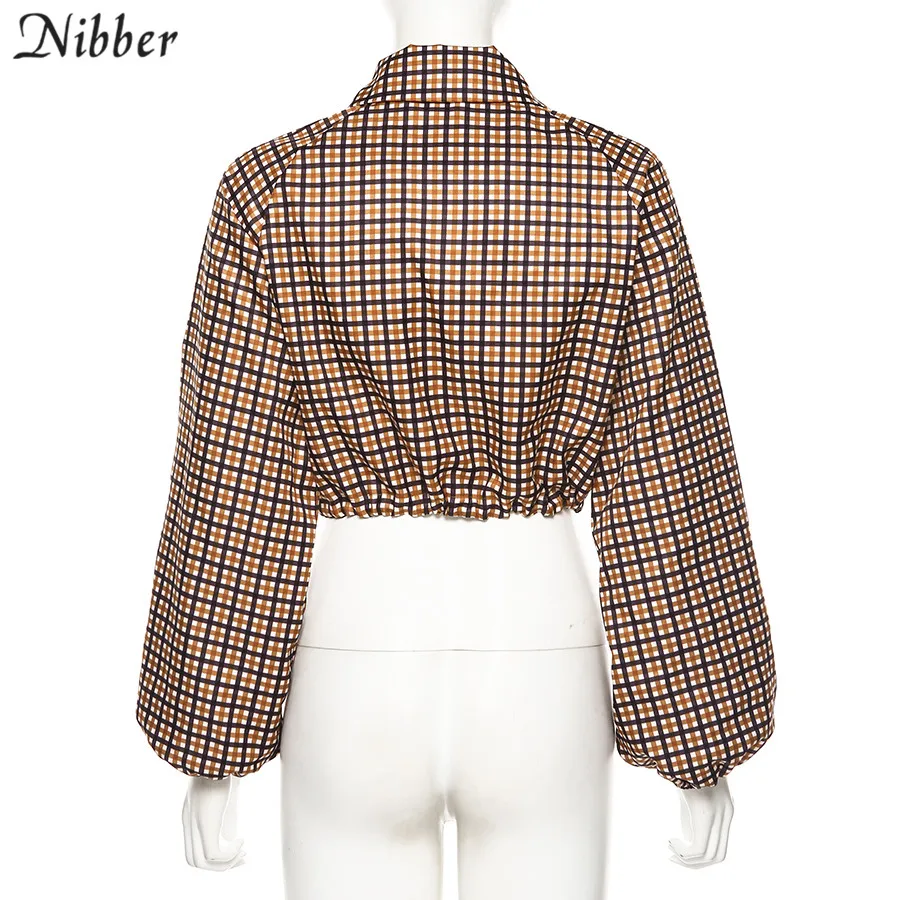Nibber