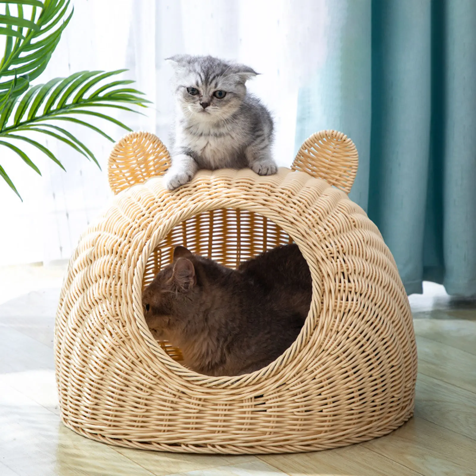 cama-de-mimbre-para-gato-caba-a-moderna-para-interiores-casa-de