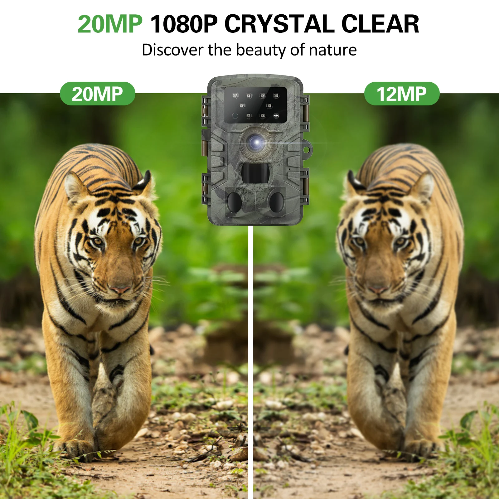 Test De La Caméra De Chasse Solaire 24MP 1080P : Performance Infrarouge Nocturne Et Rapidite