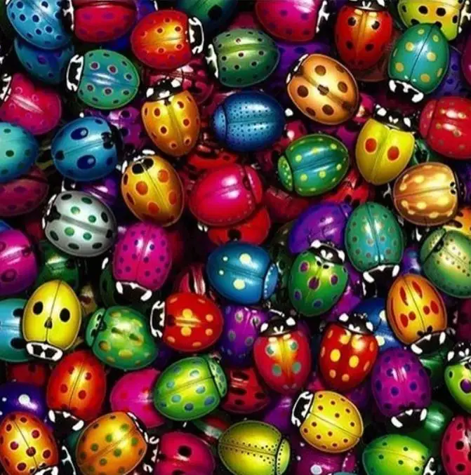 36020190313000850101