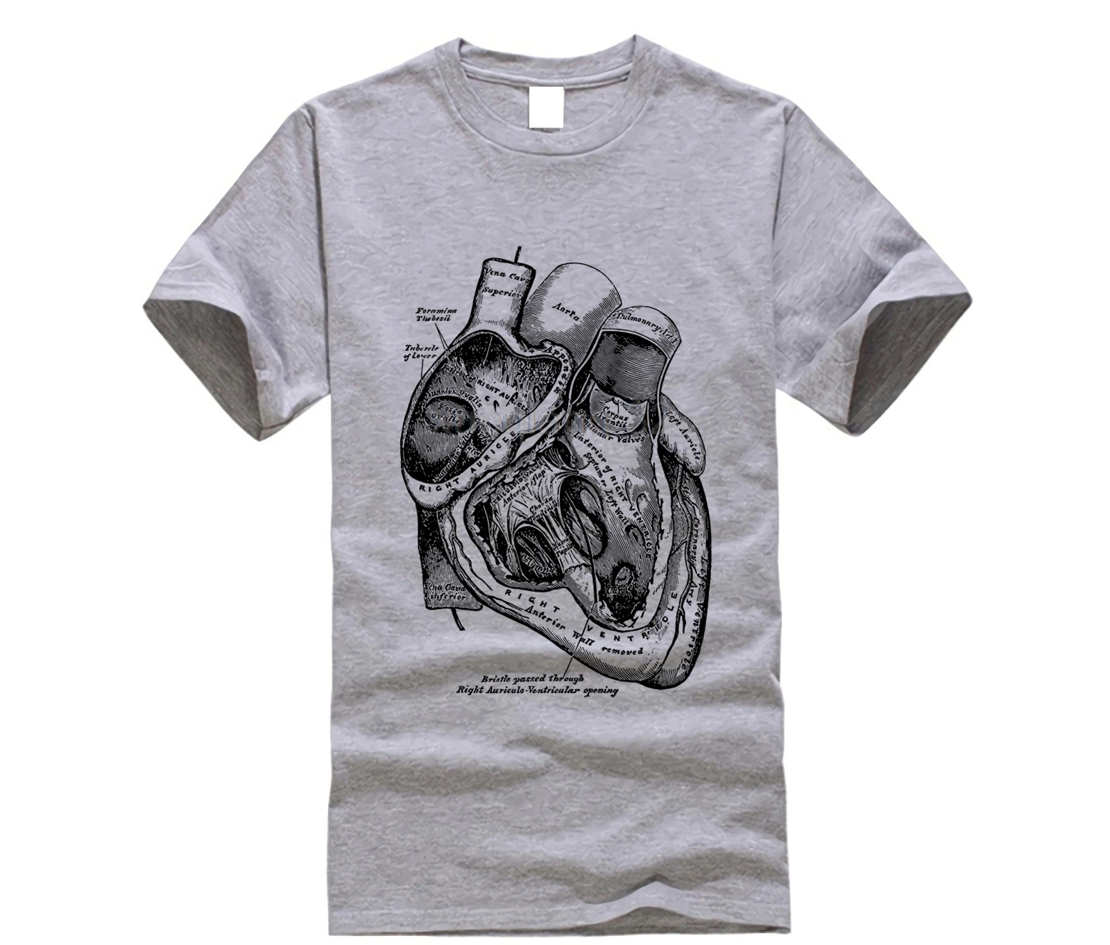 

2019 New Short Sleeve Casual Anatomical Heart T-Shirt Medical Anatomy Illustration Summer Casual Man T Shirt Good Quality